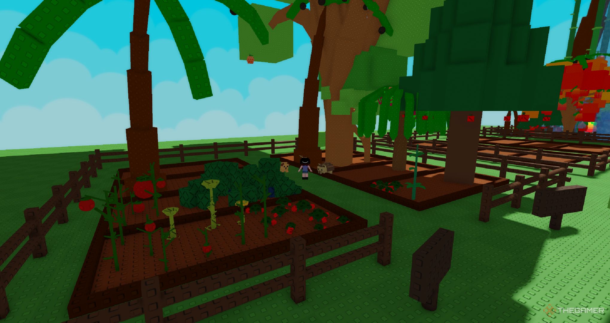 A player standing near a busy farm in Roblox Grow a Garden.