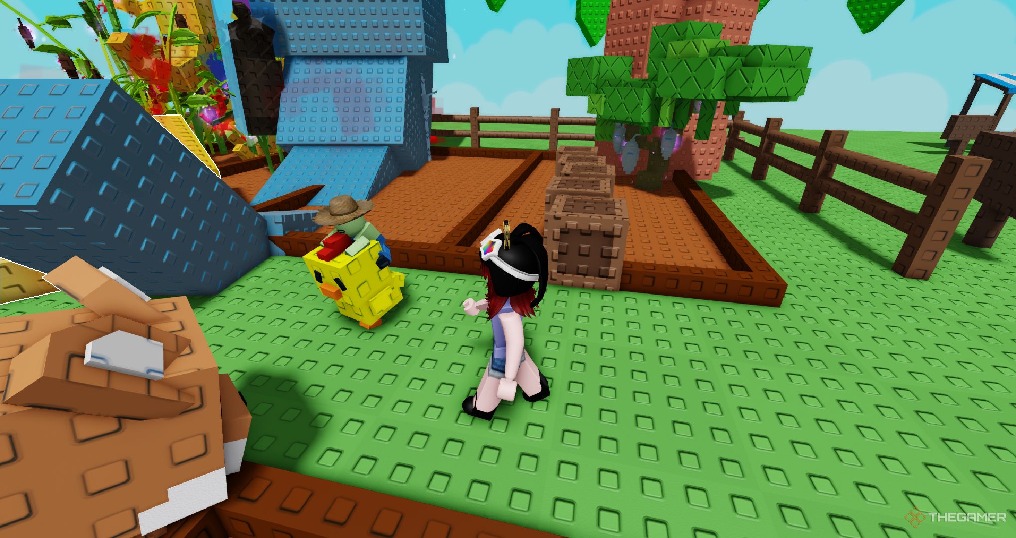 A player watching a chicken zombie in Roblox Grow A Garden.