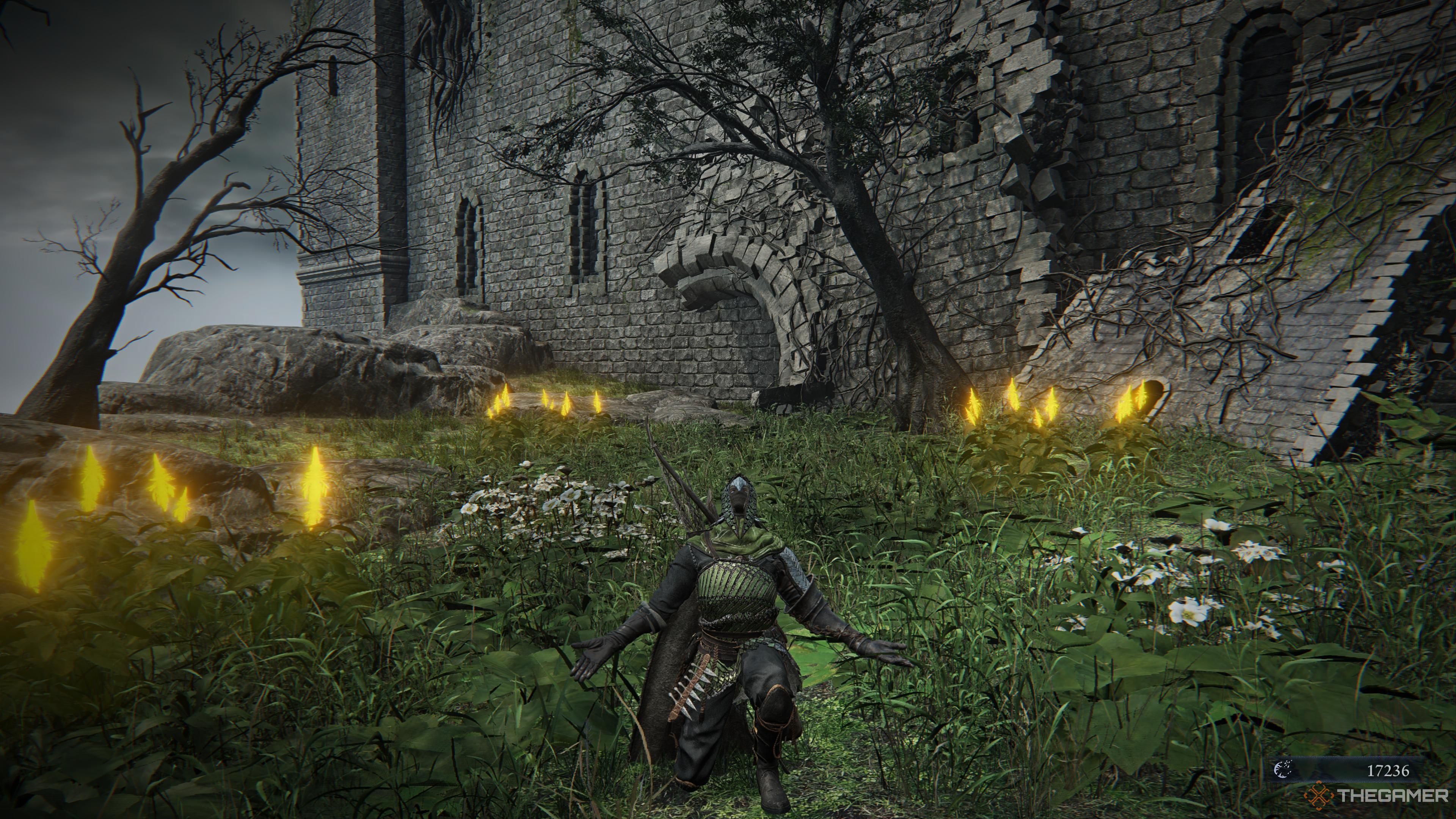 Ironeye performing an emote in front of some flowers in Elden Ring Nightreign.