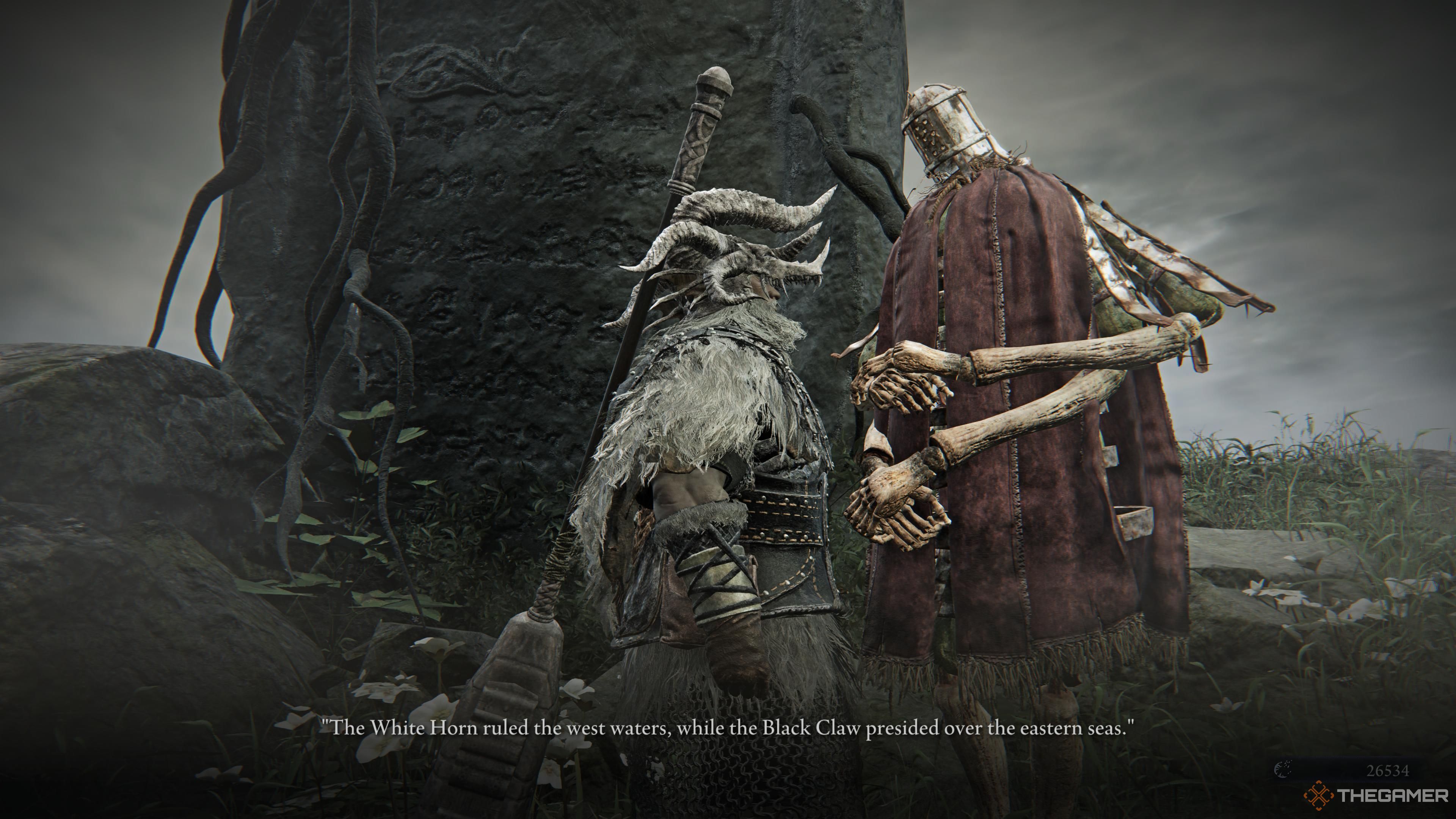 The raider and menial tlaking about the pirates of the east and west sea in elden ring nightreign.
