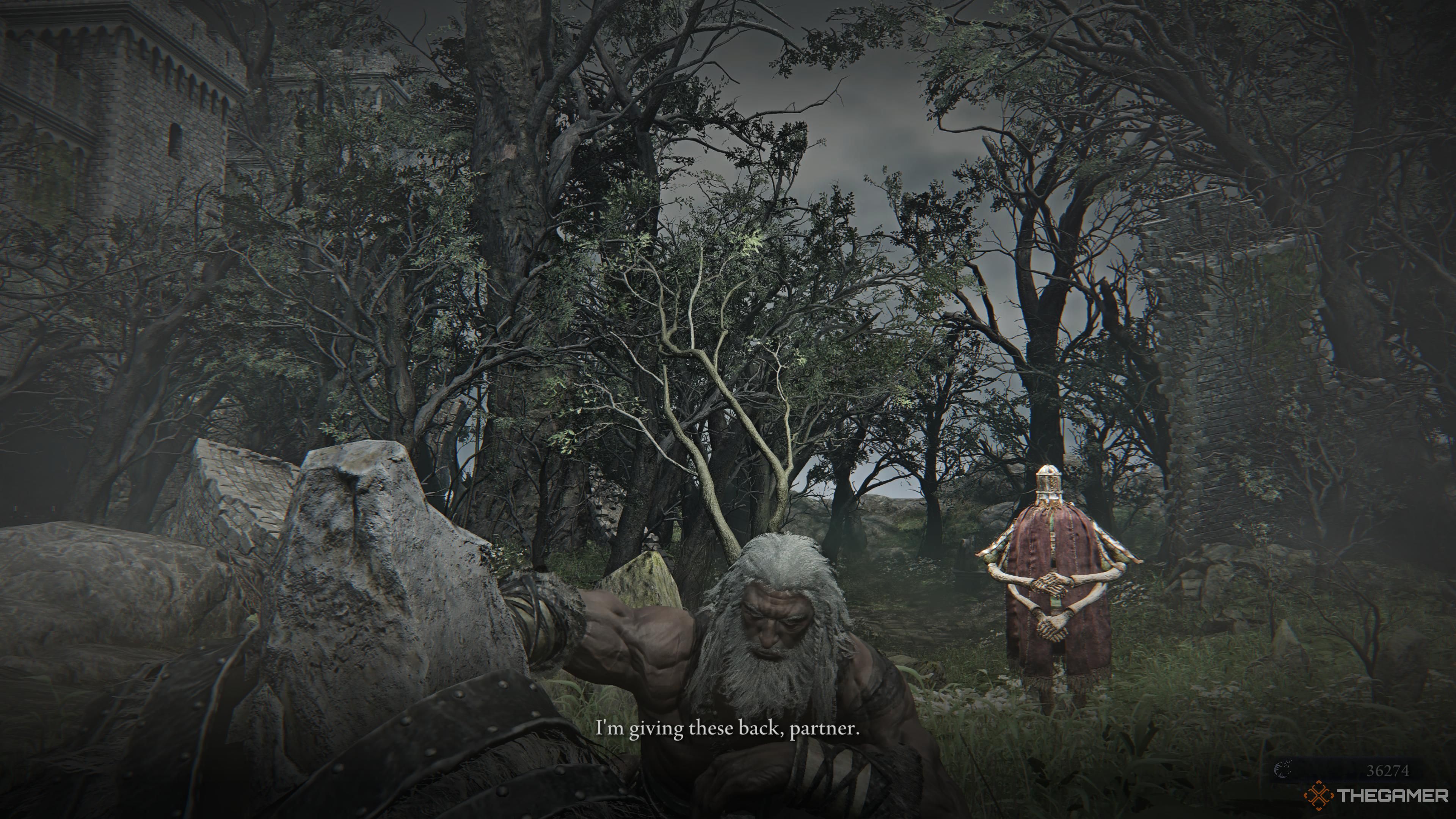 The raider returning the white horn gear in elden ring nightreign.