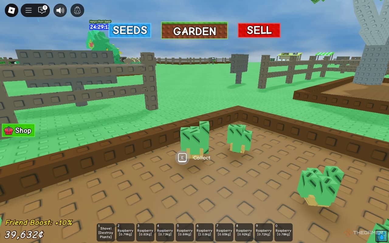 Мокрая морковь на ферме в Grow A Garden.