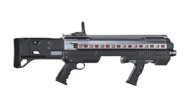 SG-8 Punisher
