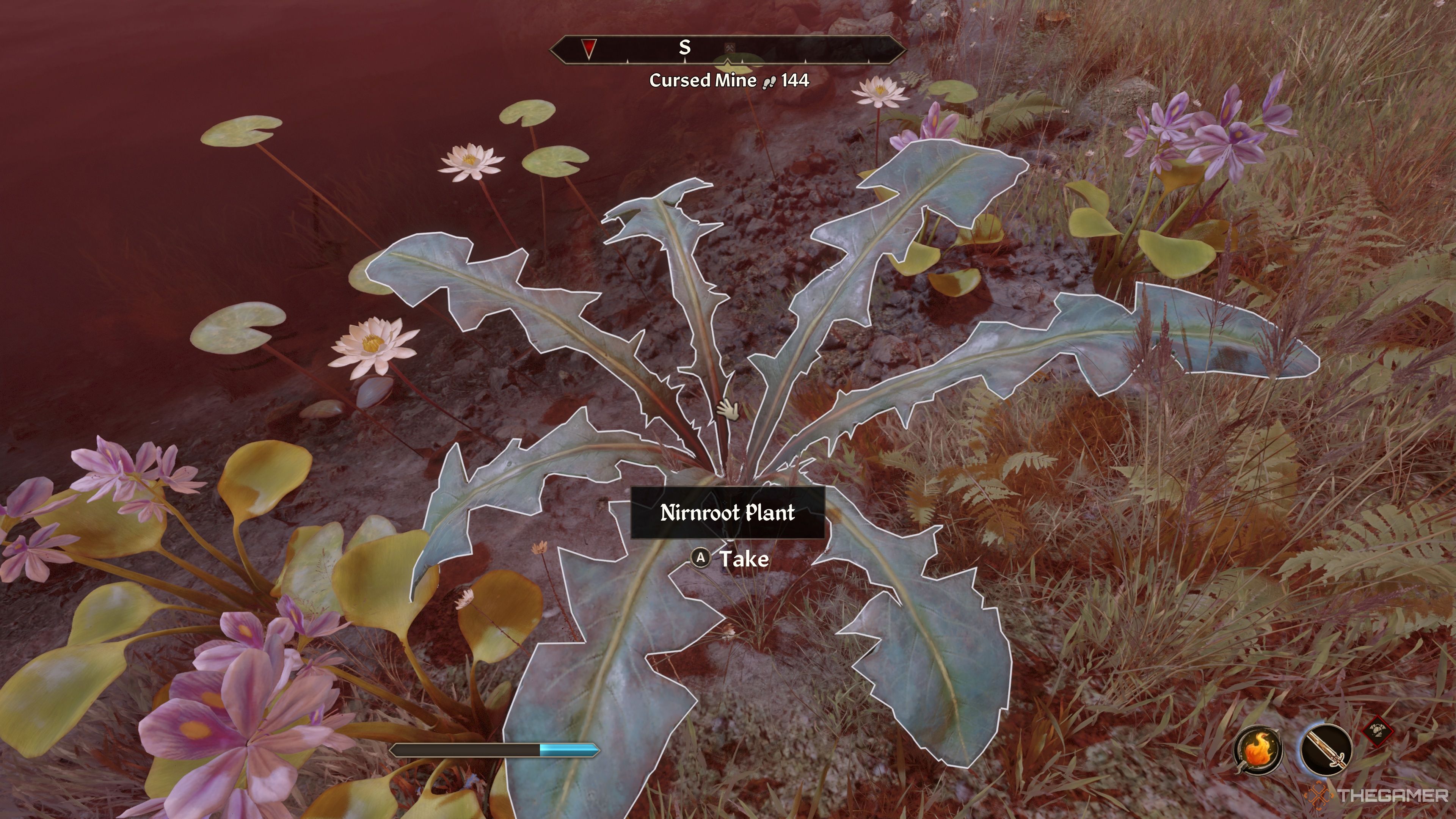 Oblivion Remastered Nirnroot By Water