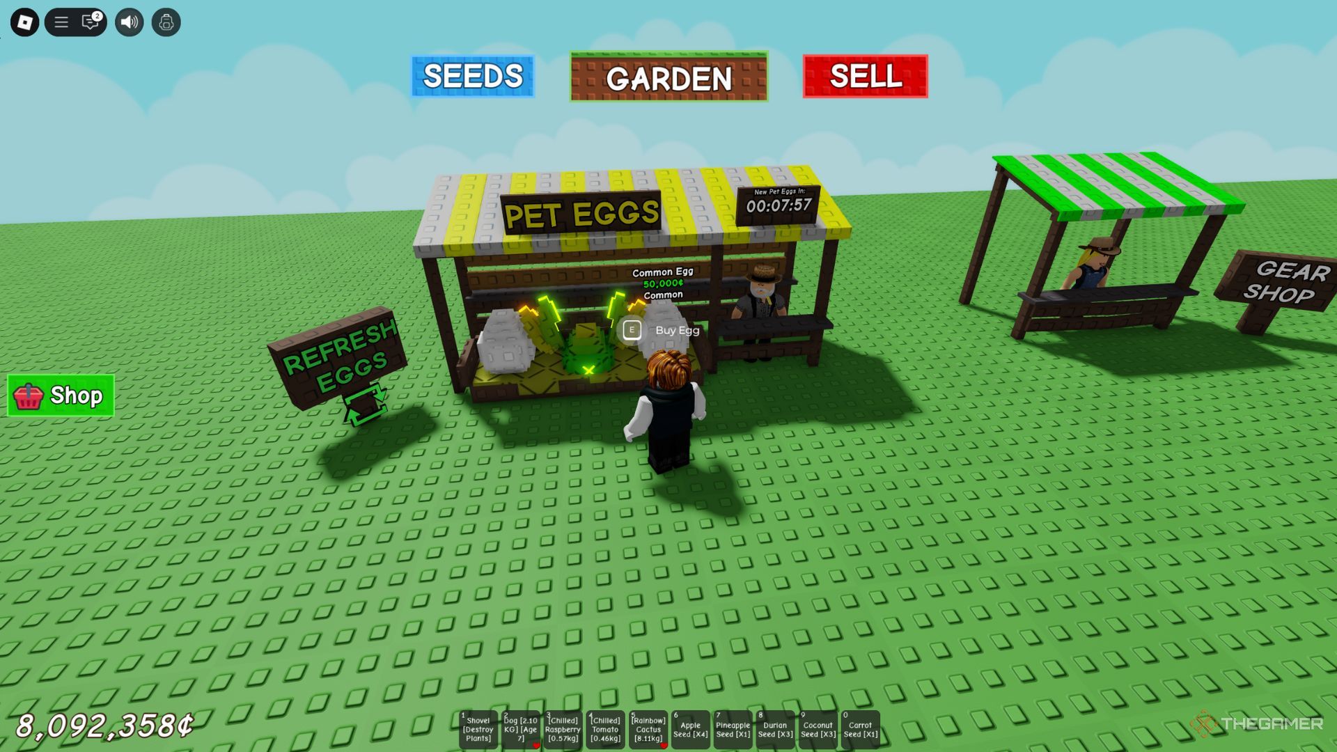 The player character shows the Pet Eggs shop in Grow A Garden.