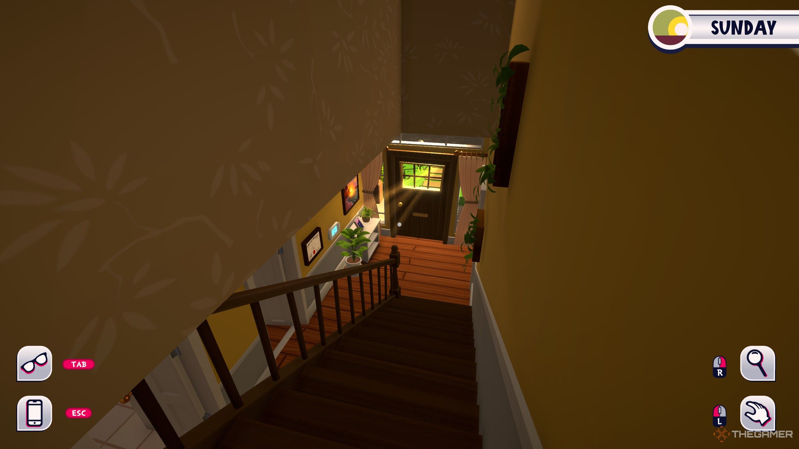 Plants hanging on the walls in your house in date everything.