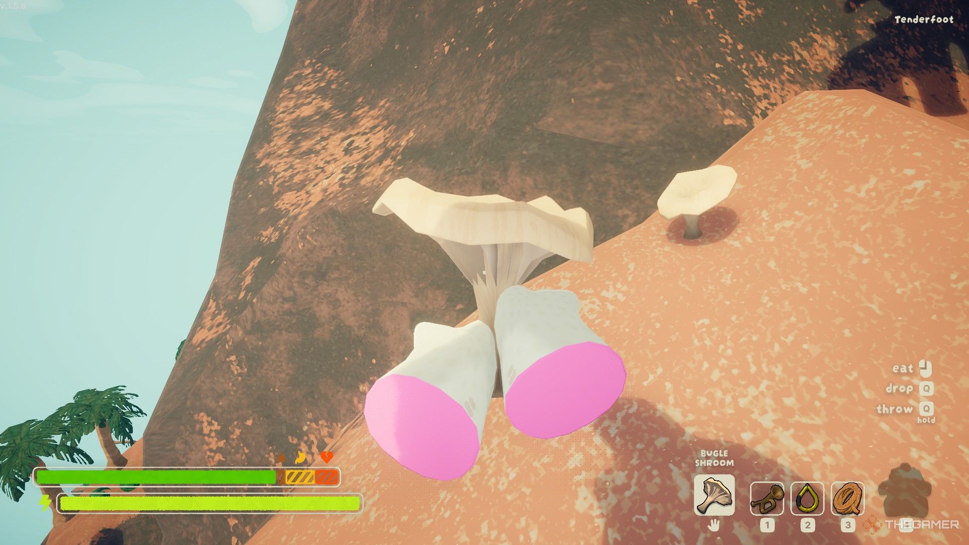 Mushroom in Peak.