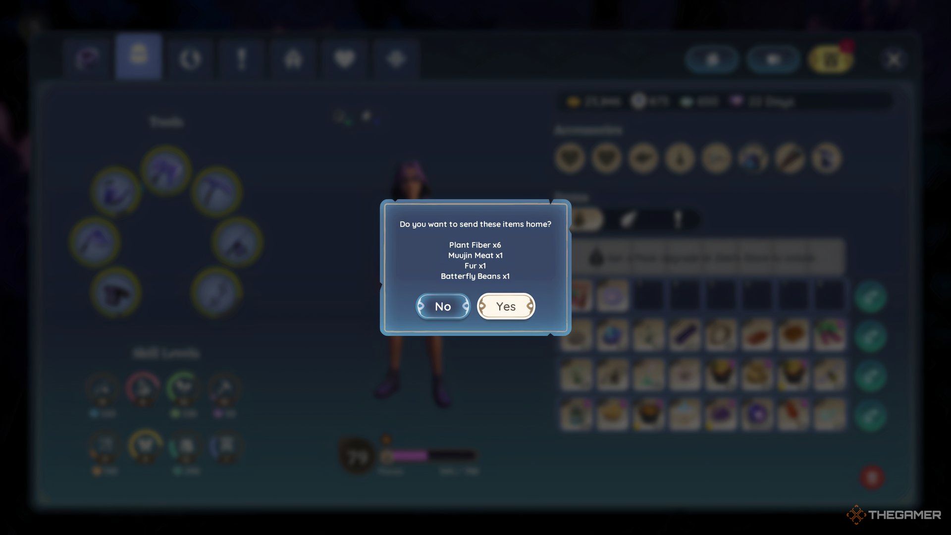 The Confirmation For The Courier Pet In Palia.
