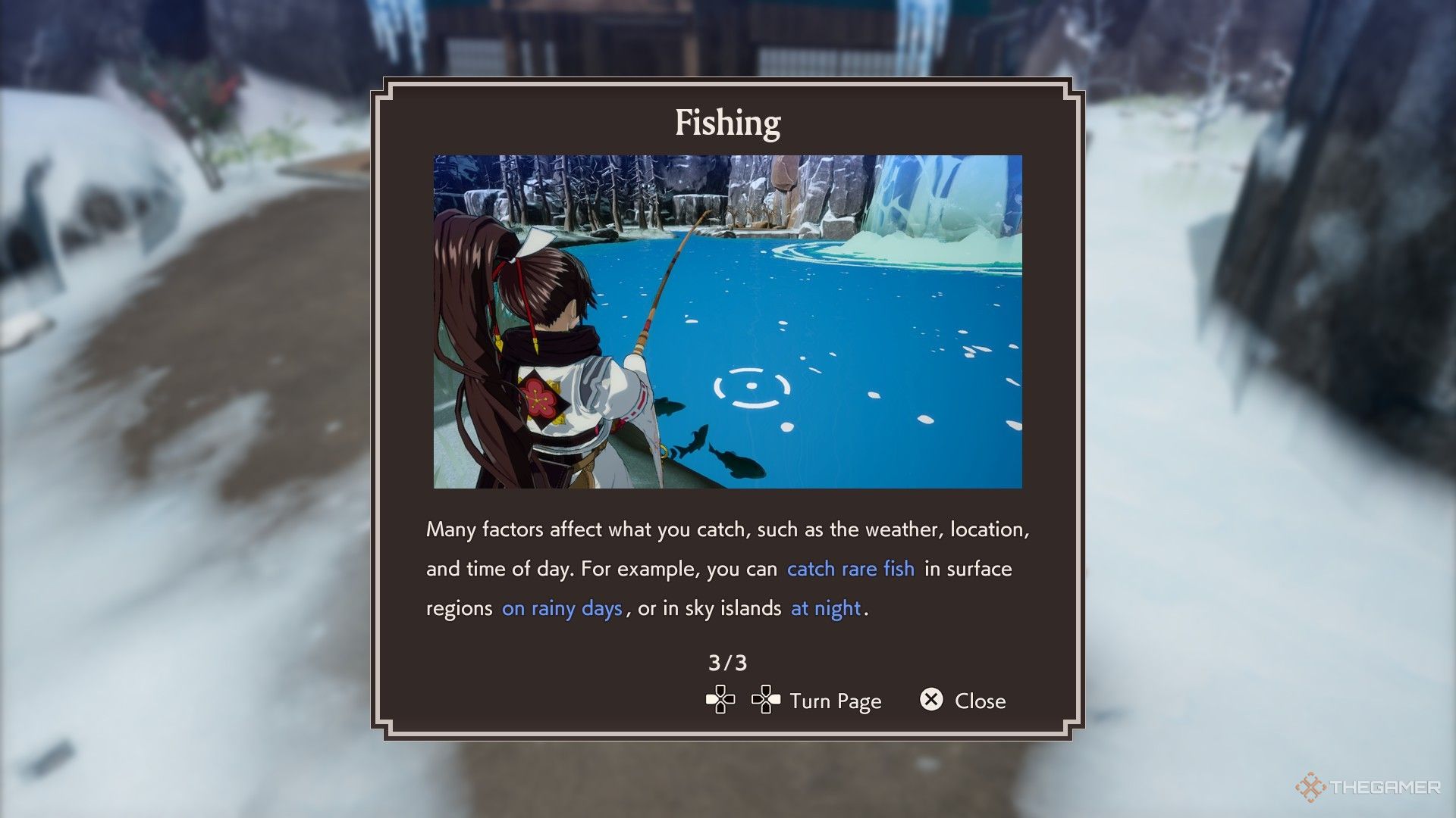 A fishing tutorial in Rune Factory Guardians of Azuma.