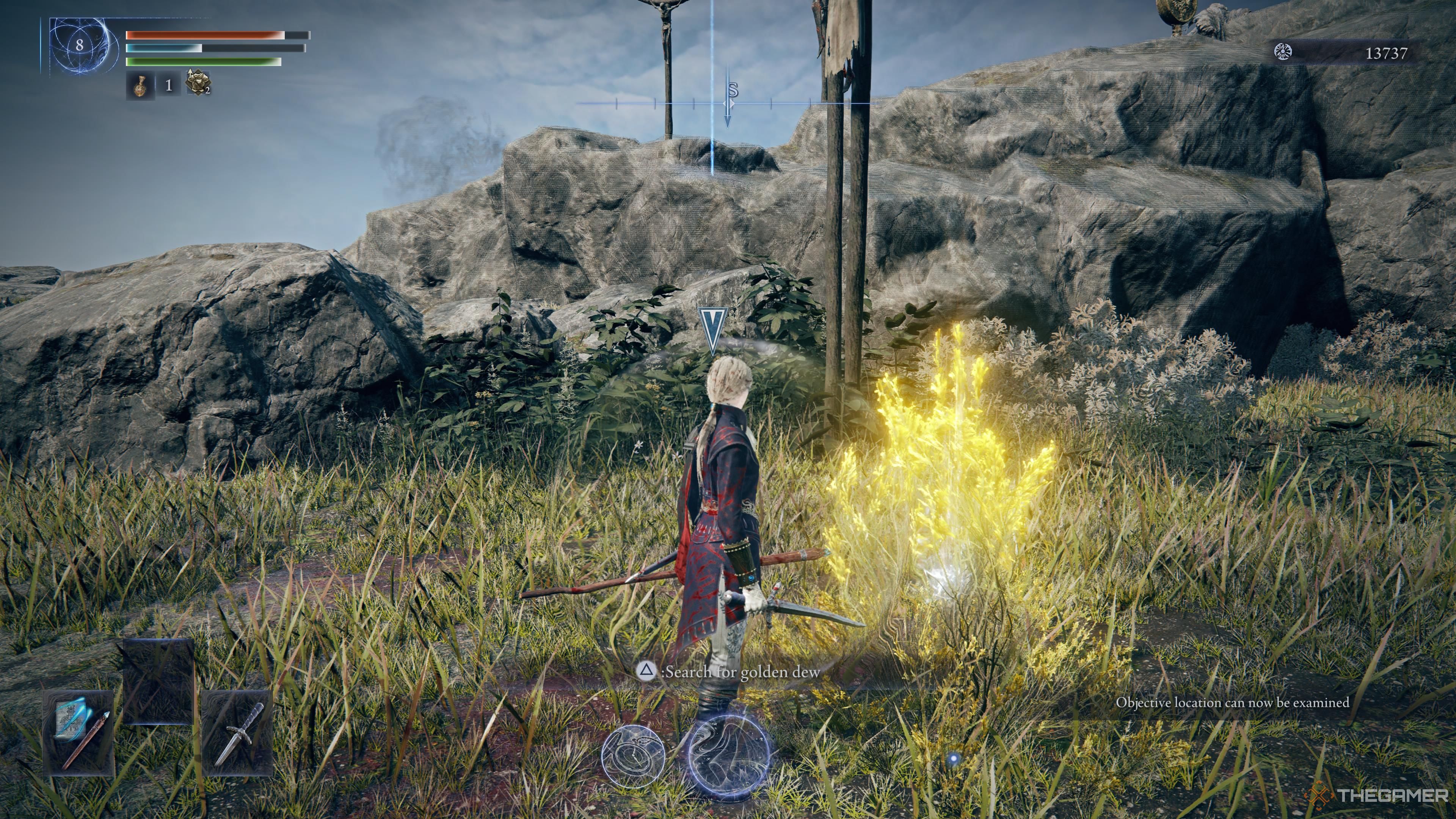Duchess by a golden dew plant in elden ring nightreign.