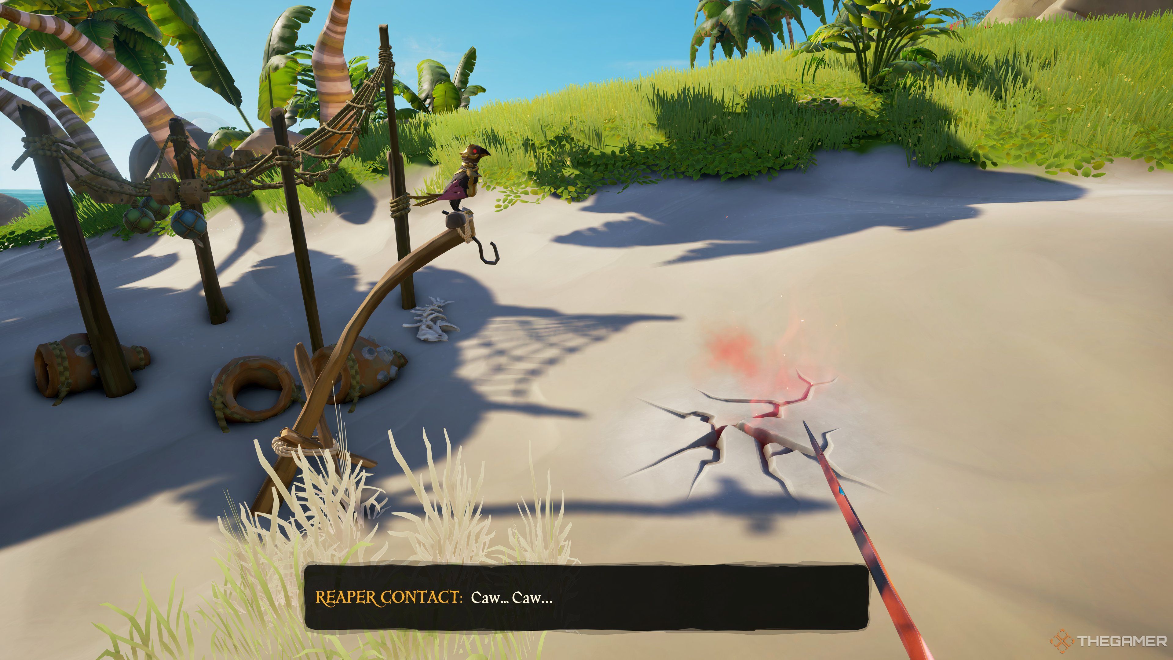 Reaper Parrot and Dig Location in Sea of Thieves.