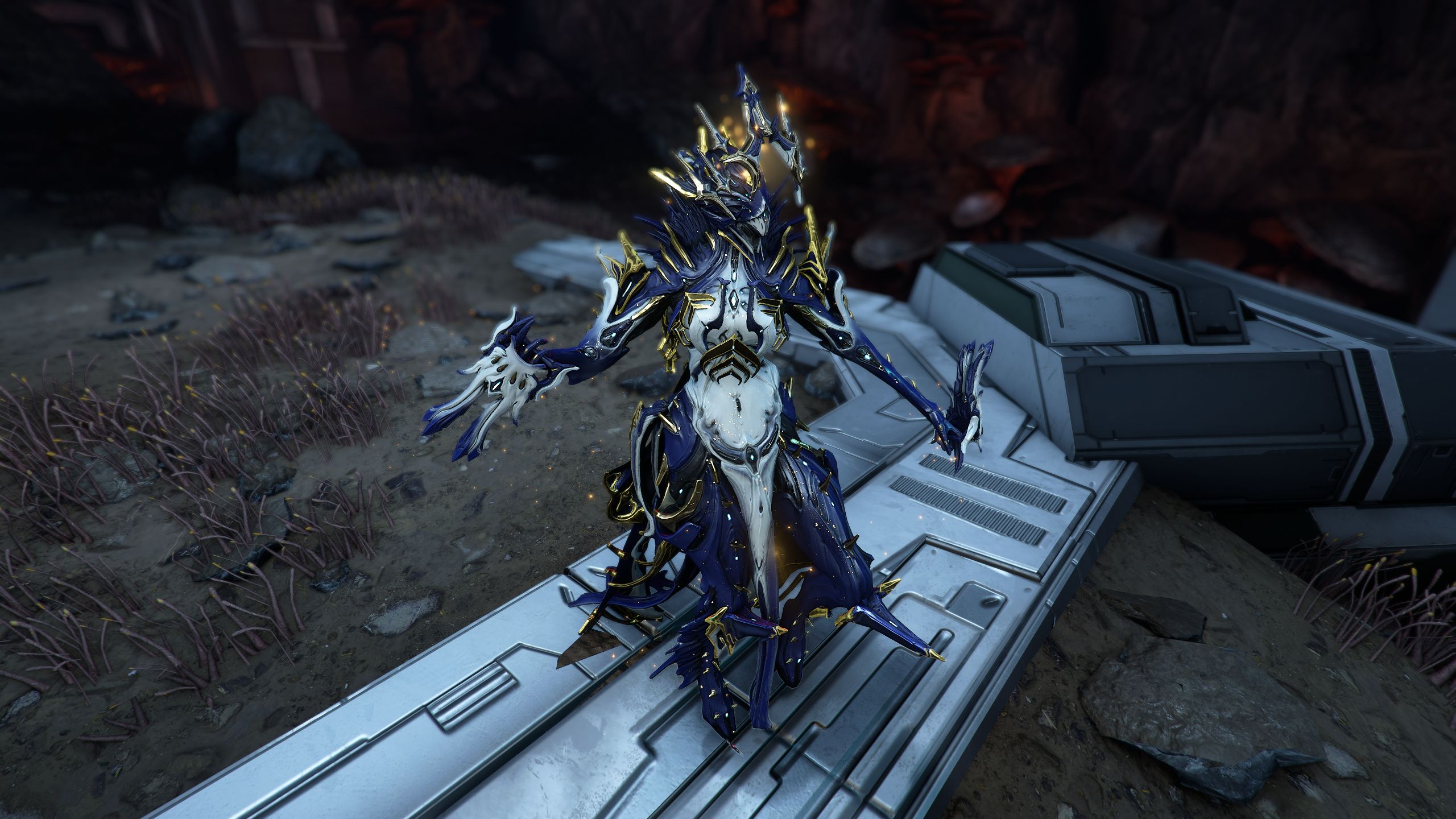 Oraxia standing alone in Warframe.