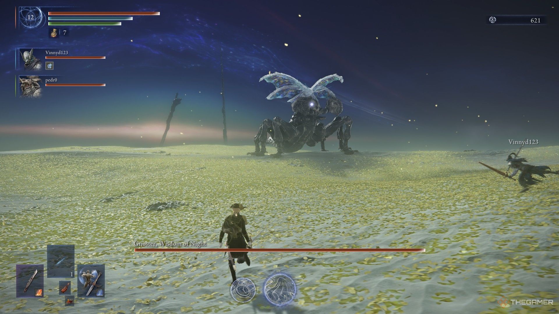 Duchess watches Raider and Wylder fight Sentient Pest Everdark at the start in Elden Ring Nightreign.