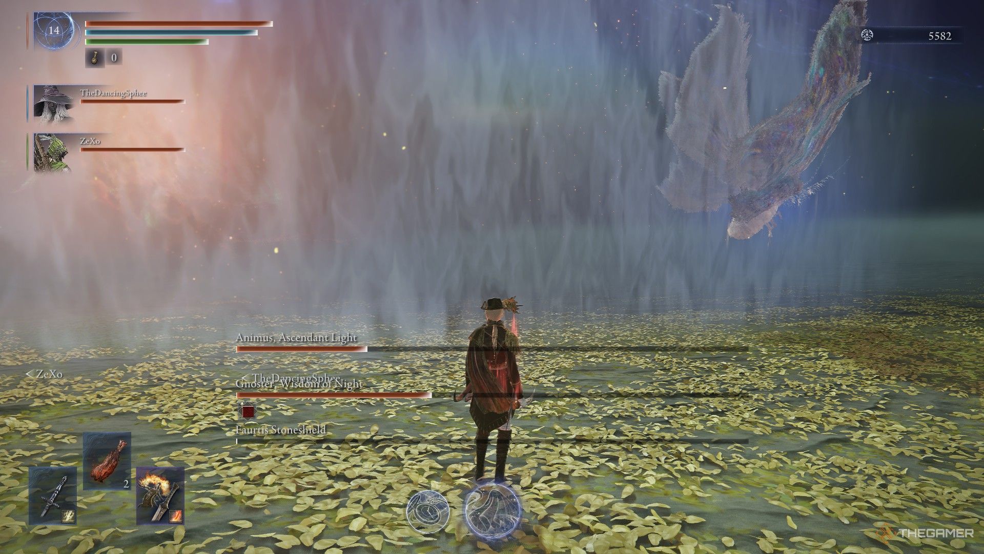 Animus and Gnoster appear outside the arena field in a strange bug in Elden Ring Nightreign.