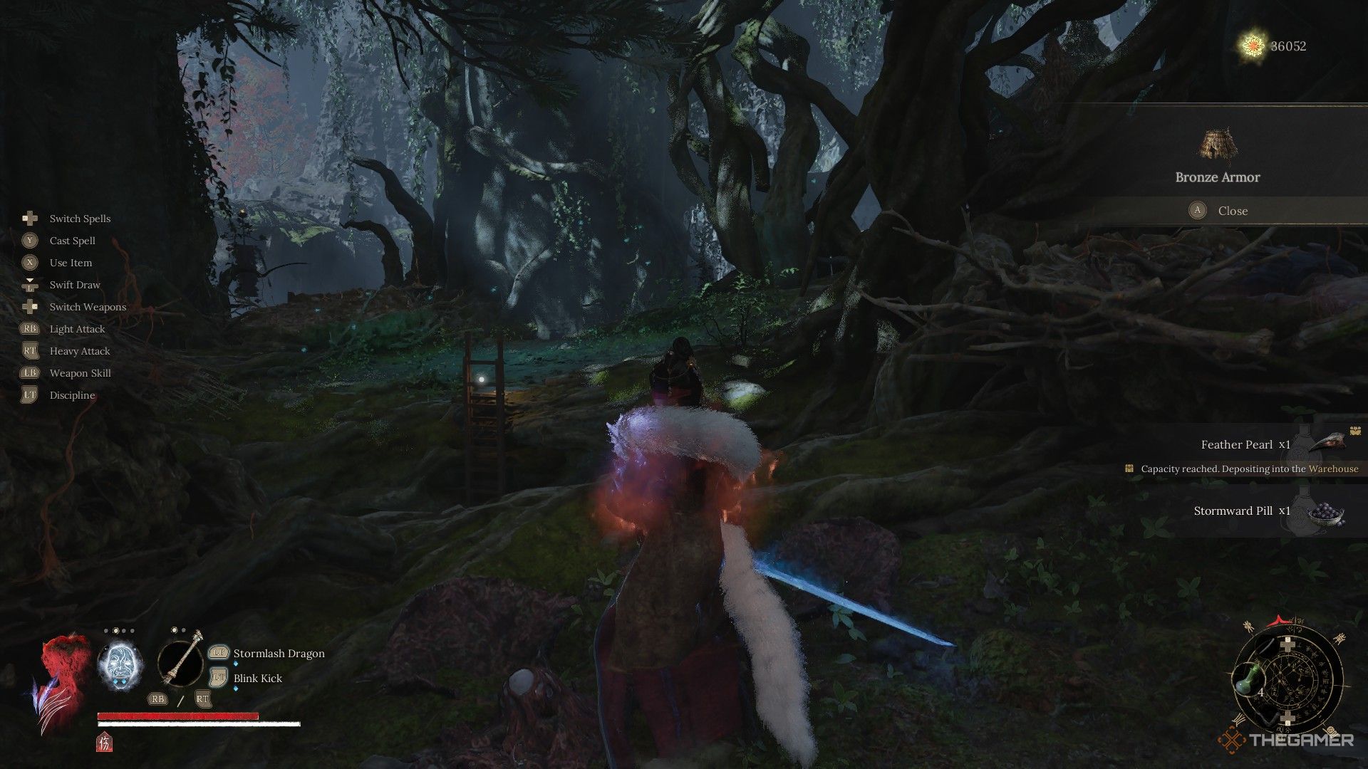 Wuchang picks up the Bronze Armour in the Avian Marsh in Wuchang: Fallen Feathers.