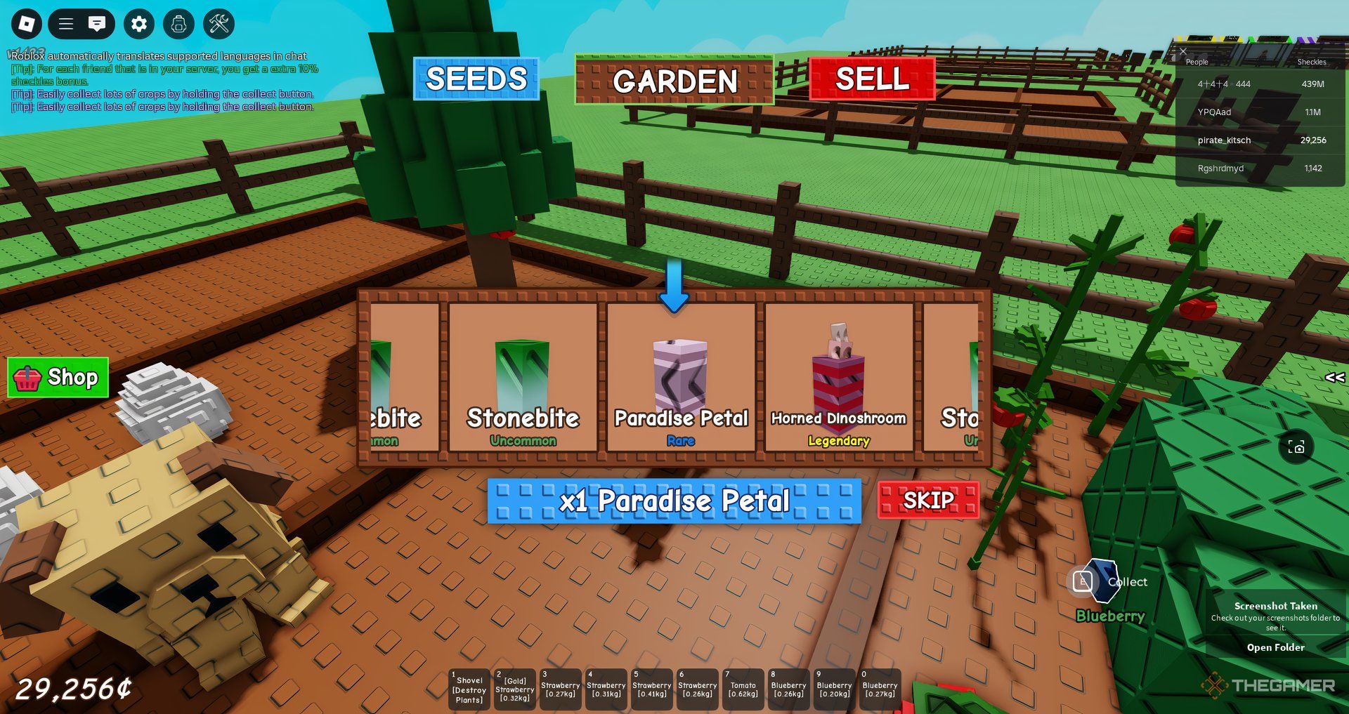 Getting a Paradise Petal from an Ancient Seed Pack in Roblox Grow A Garden.