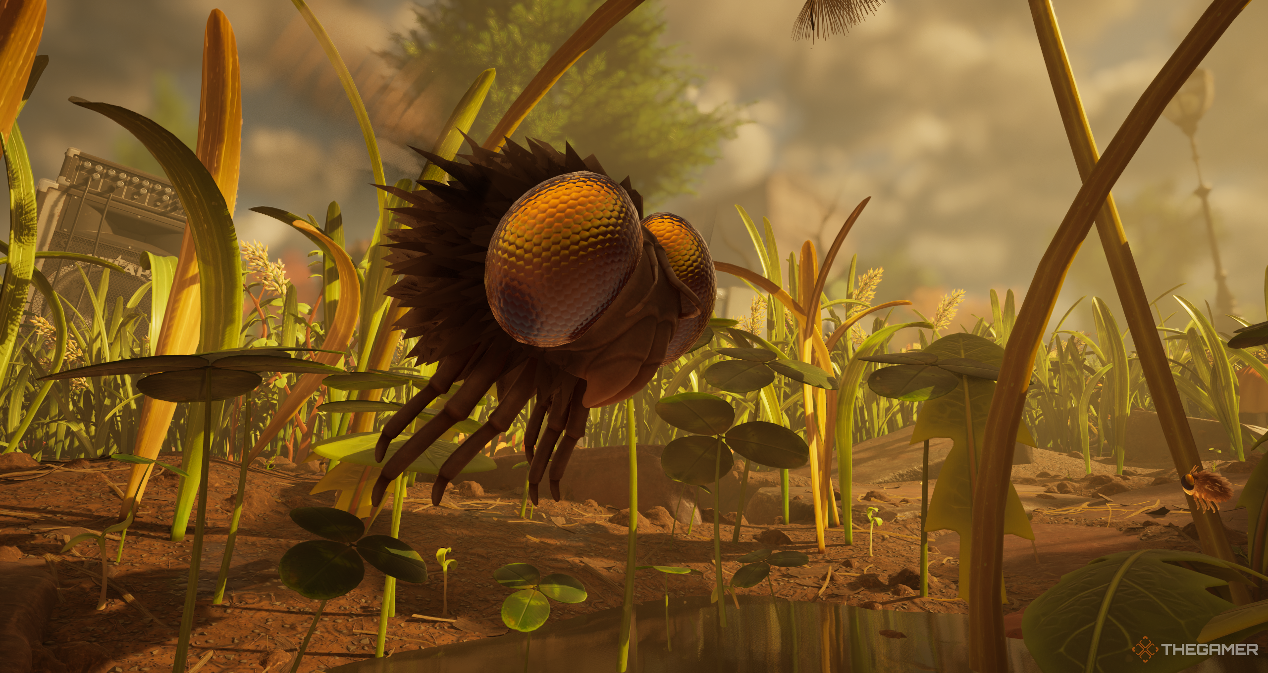 A gnat in Grounded 2.