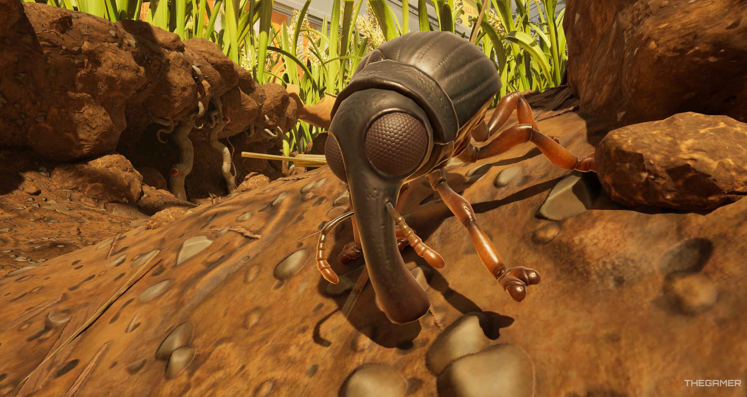 A weevil in Grounded 2.