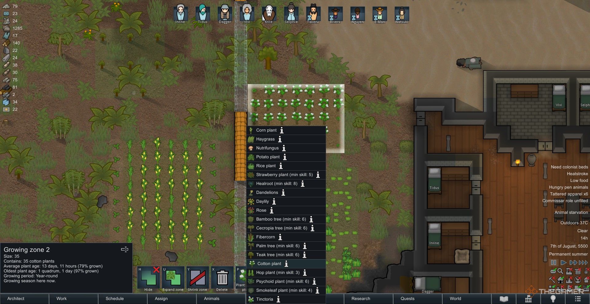 Selecting Cotton Plants in a Growing Zone in Rimworld.