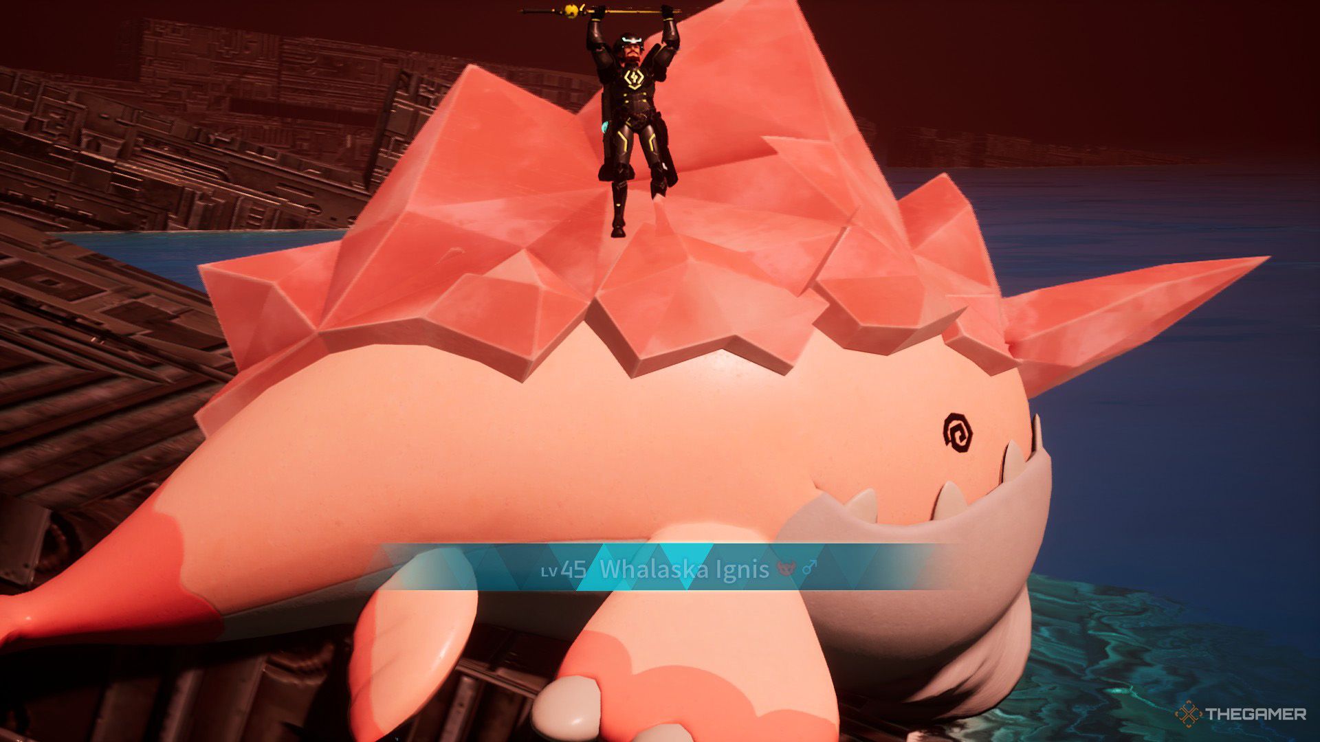 The player catches a wild Whalaska Ignis while fishing in Palworld.