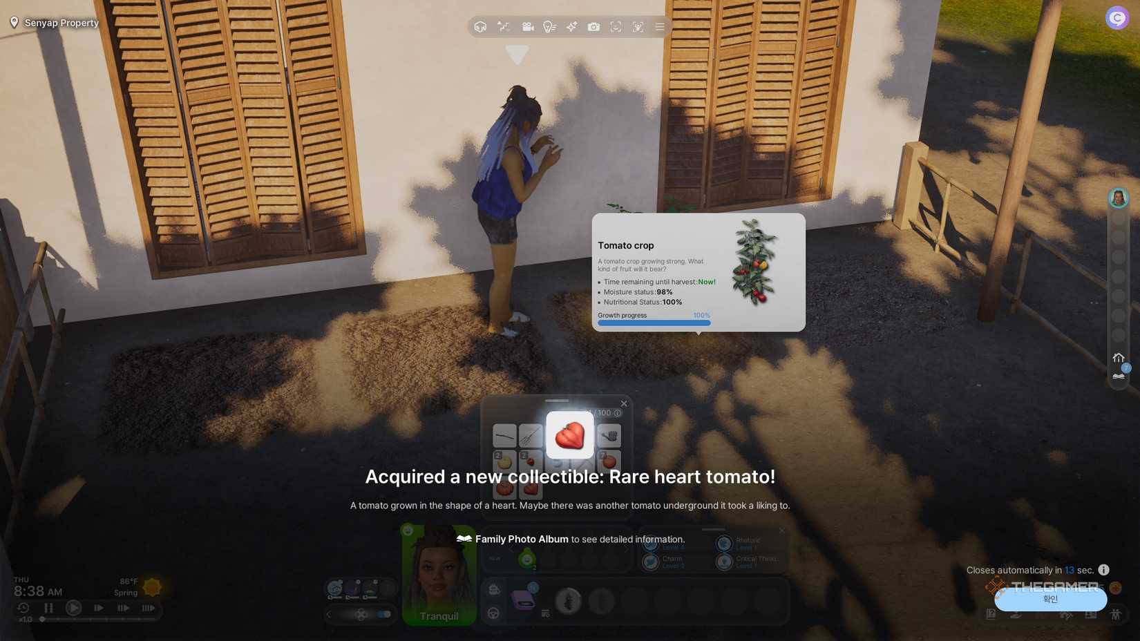 inZOI Harvesting a rare heart-shaped tomato from the farm.