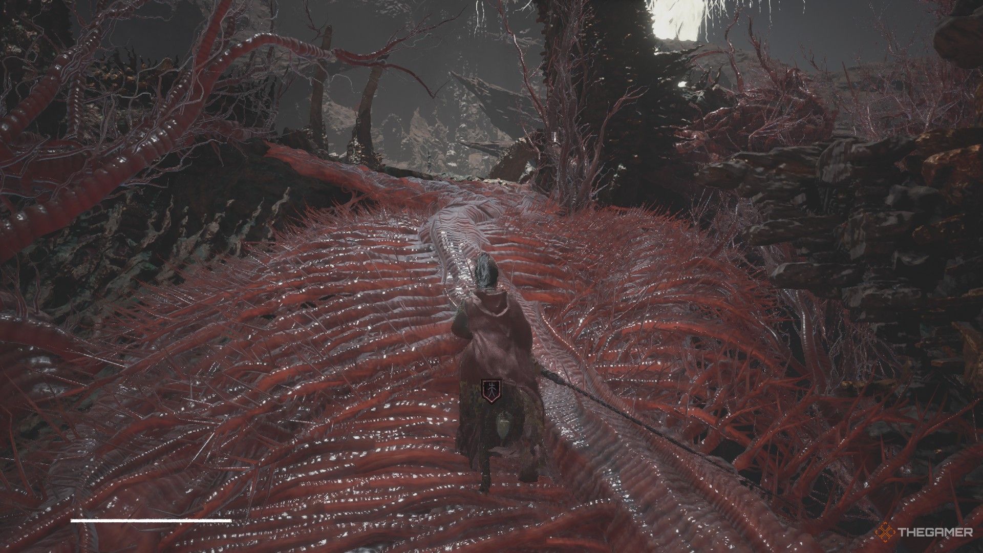 Wuchang climbs a hill in search of Lost Remains in the Bo Capital in Wuchang: Fallen Feathers.