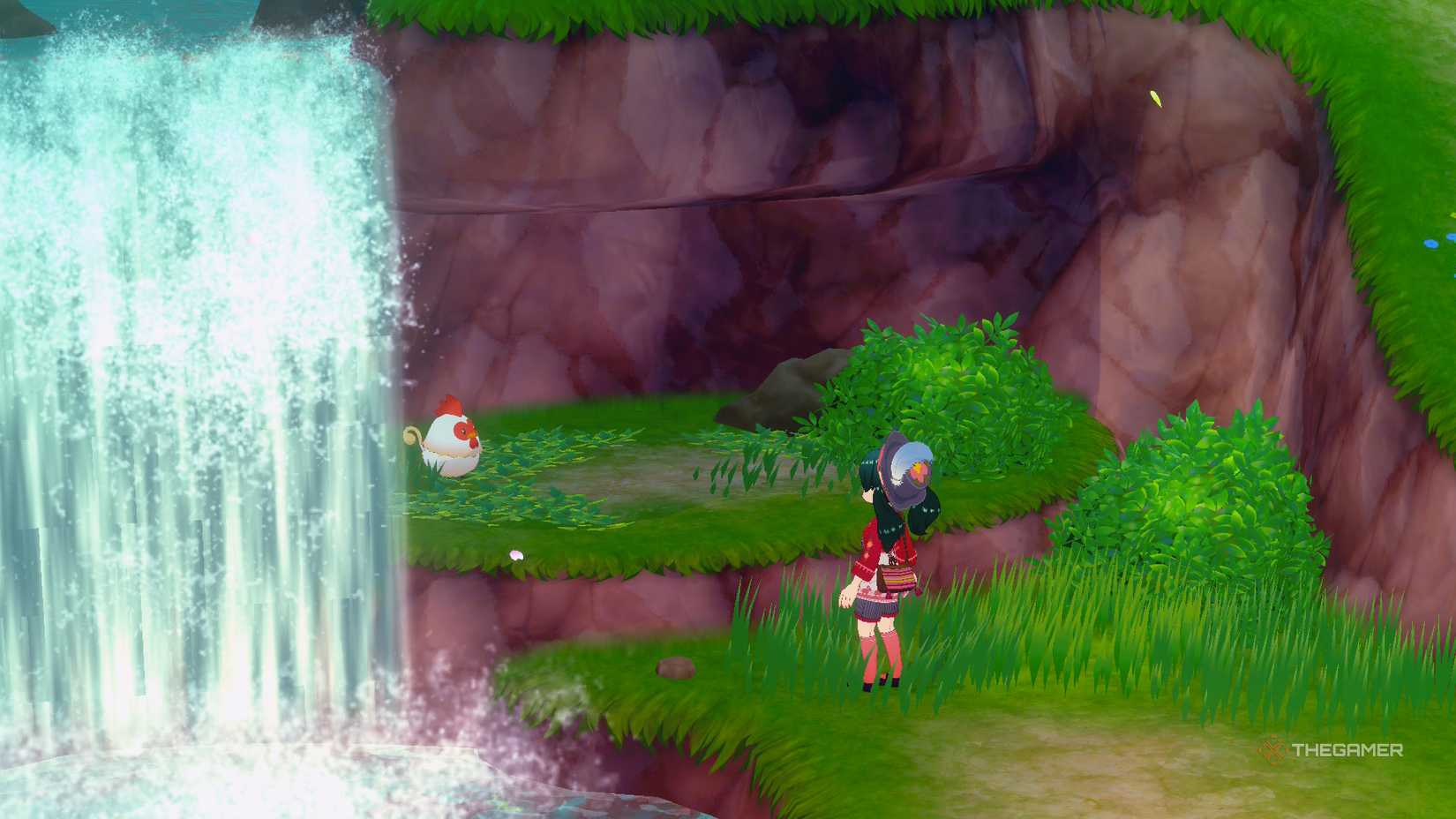 Chicken by the waterfall in Story of Seasons Grand Bazaar.
