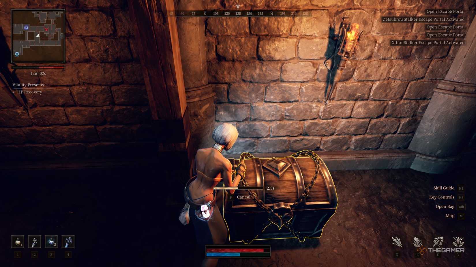 Dungeon Stalkers Rio opening a chest in the dungeon.