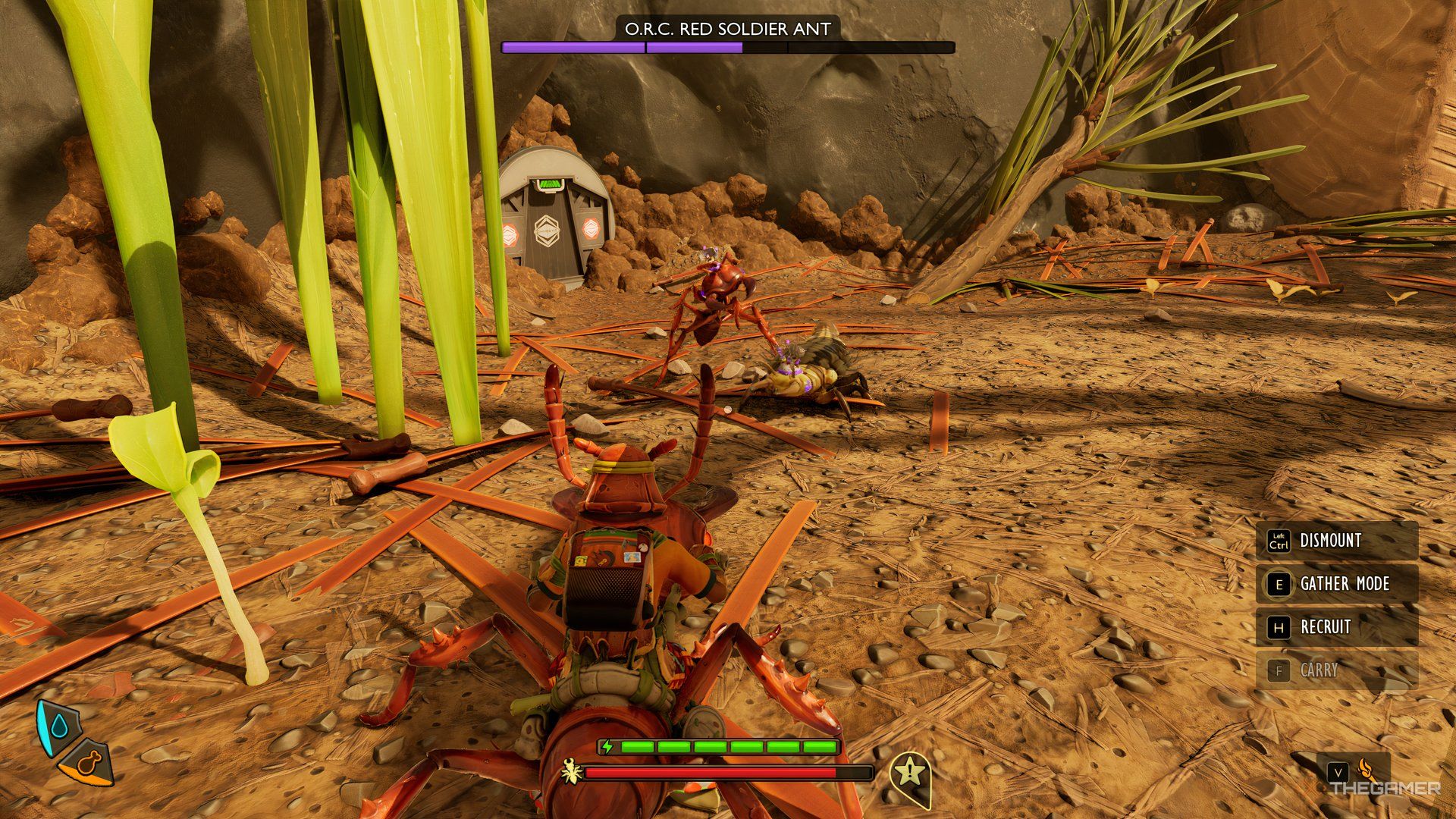 The player and their mount fighting another Red Soldier Ant in Grounded 2.