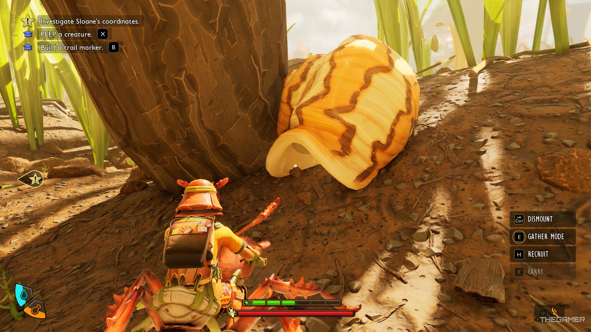 The player on their mount looking at Garden Snail shell in Grounded 2.