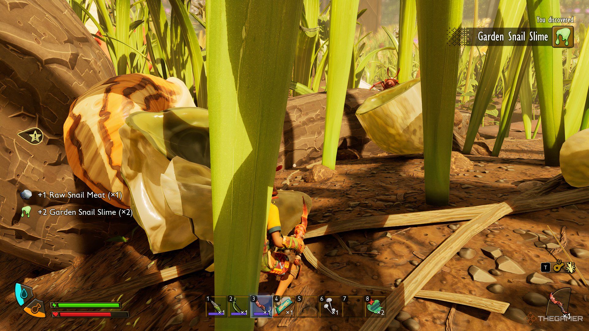 The player standing next to fallen Garden Snail with its resources listed on the left in Grounded 2.