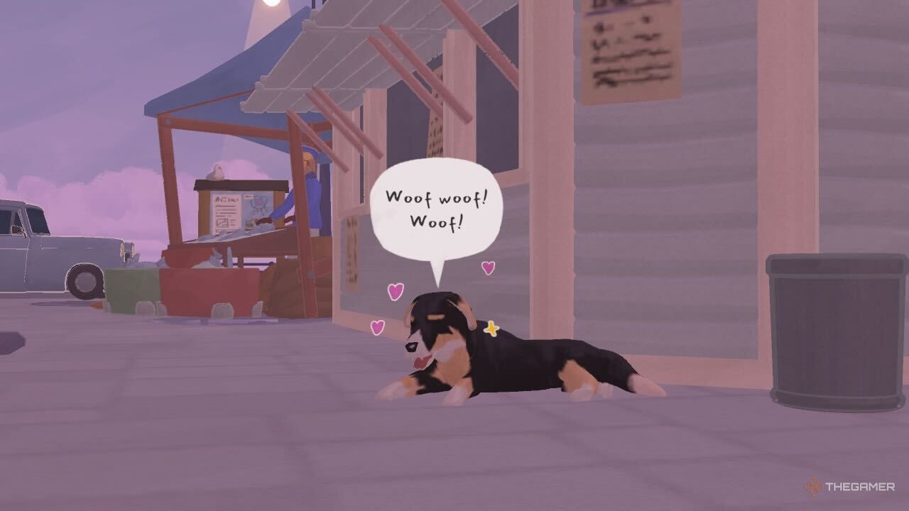A dog lying down outside in Tiny Bookshop.