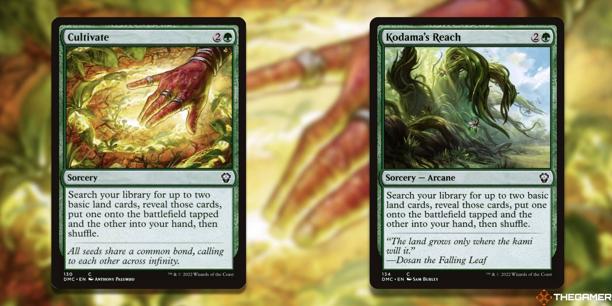 A screenshot of the Magic: The Gathering cards Cultivate And Kodama's Reach.
