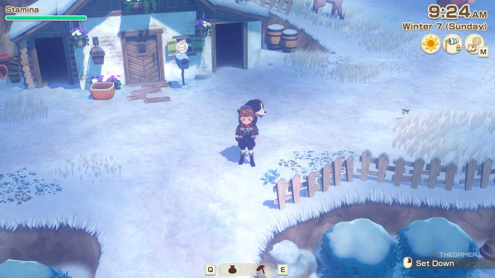 Story Of Seasons Grand Bazaar carrying dog on the back.