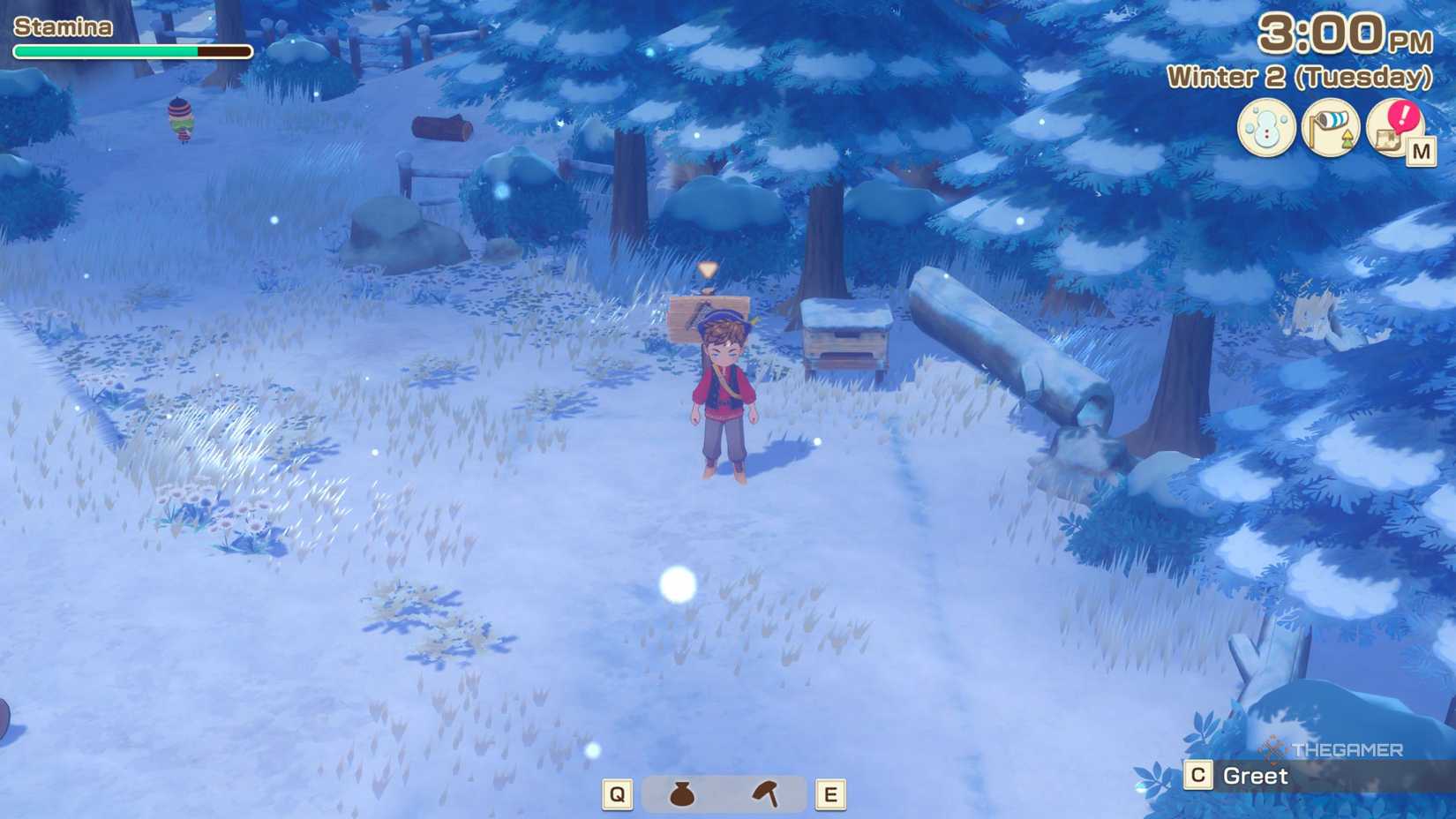 Story Of Seasons Grand Bazaar character standing near the beehive.