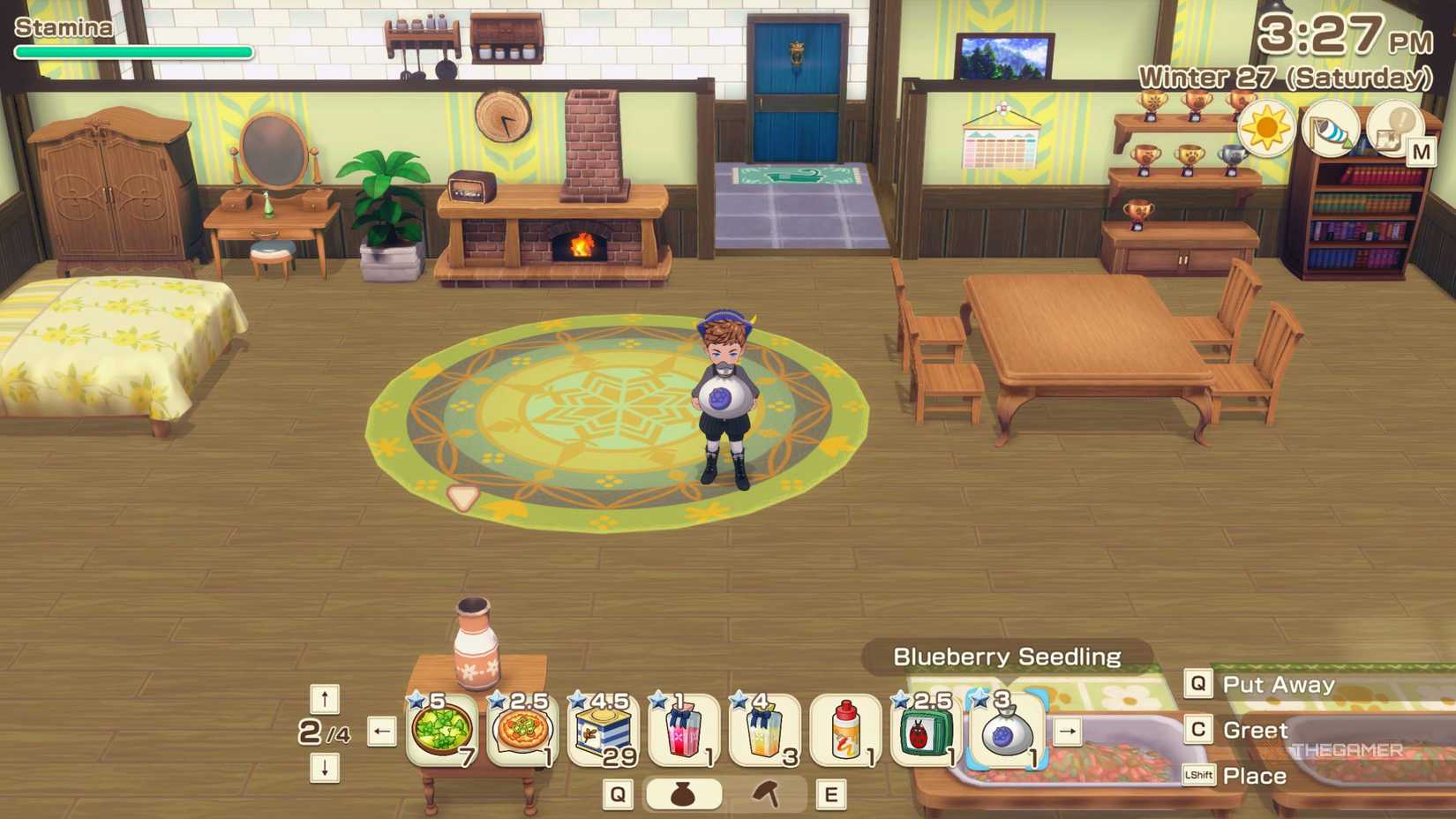 Story Of Seasons Grand Bazaar character with blueberry seed in hand.