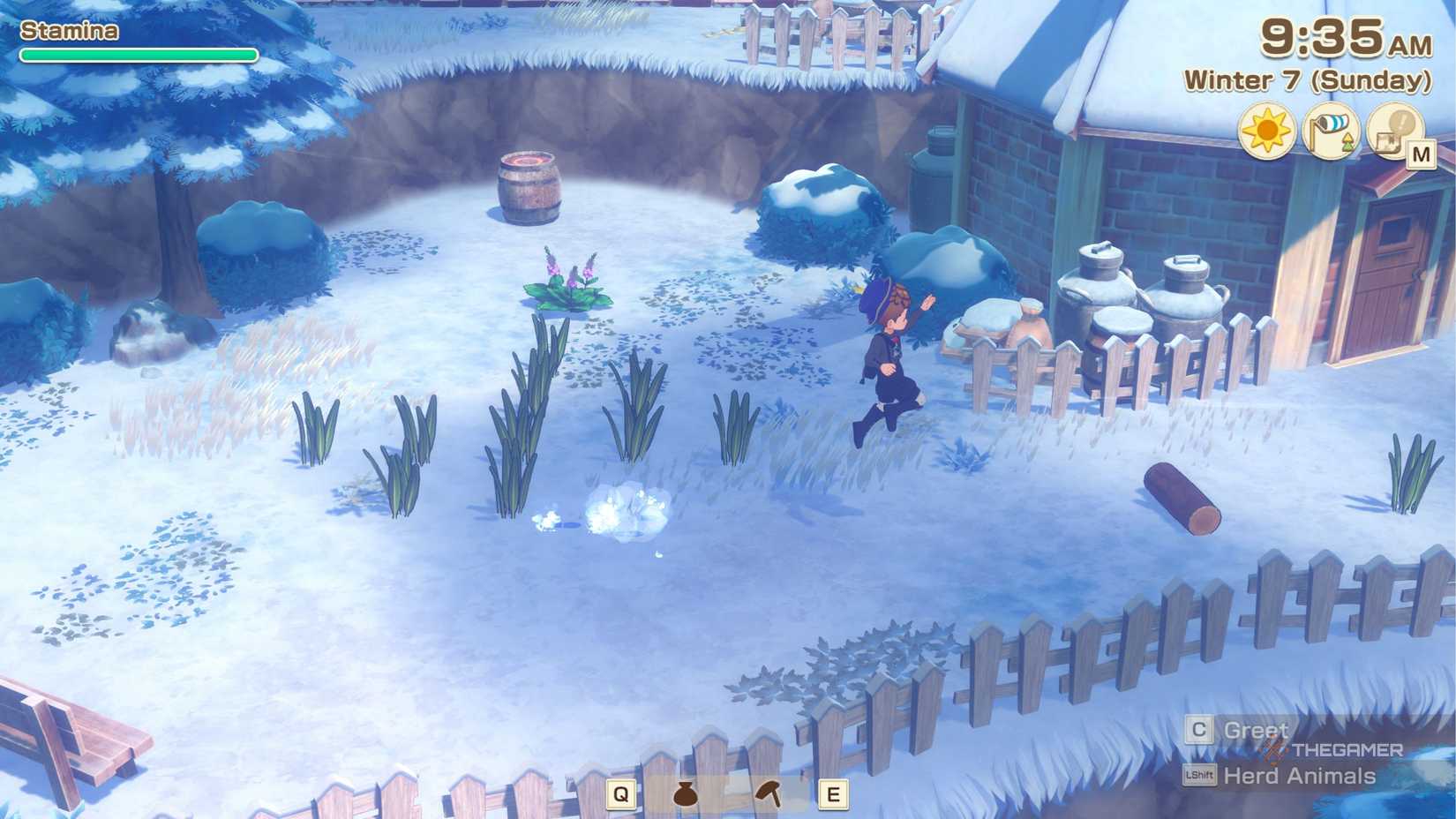 Story Of Seasons Grand Bazaar jumping through an area.