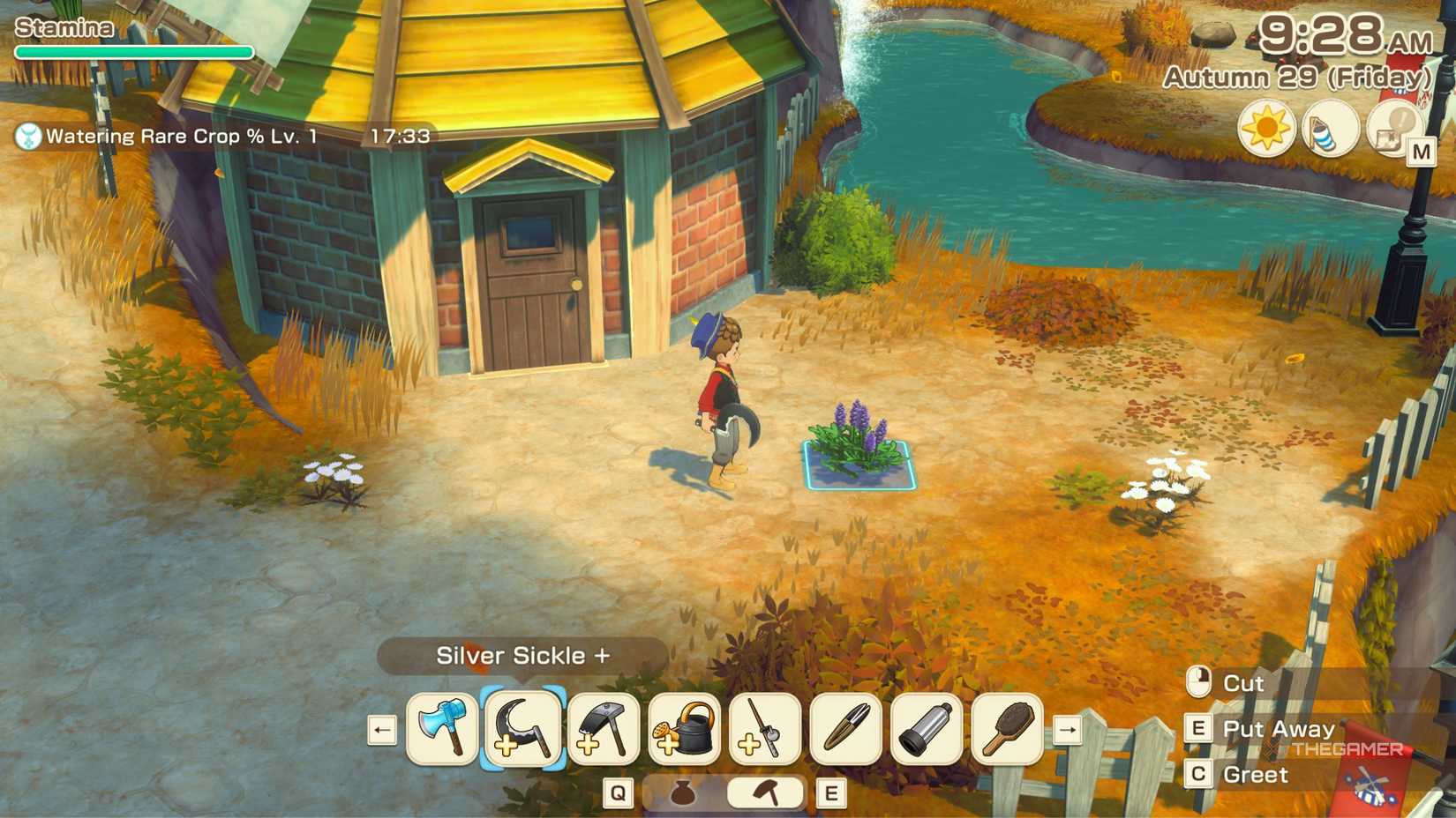 Story Of Seasons Grand Bazaar using a sickle on lavender bush to gift Jules.