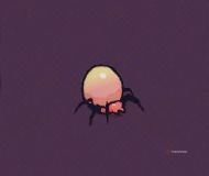 Close up of a Tick, a giant tick with a bloated abdomen, in Guntouchables.
