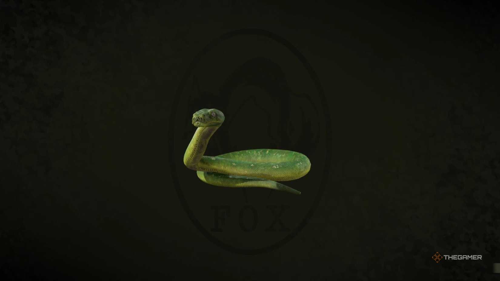 A Snake in Metal Gear Solid Delta Snake Eater.