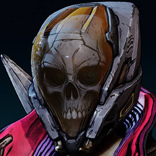 Borderlands 4 Vex head 13.