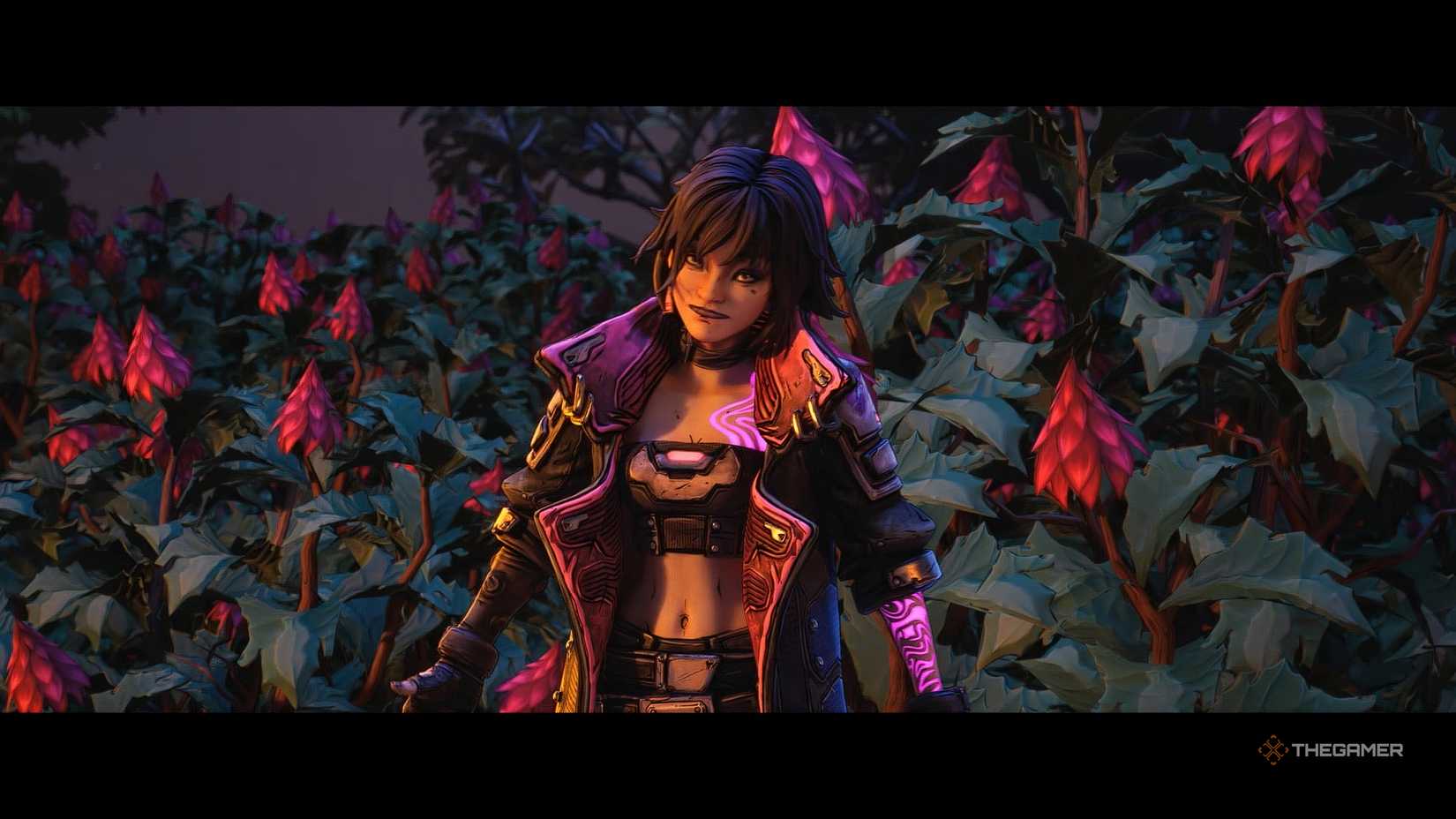 Borderlands 4 Vex shrugging by a shrub.