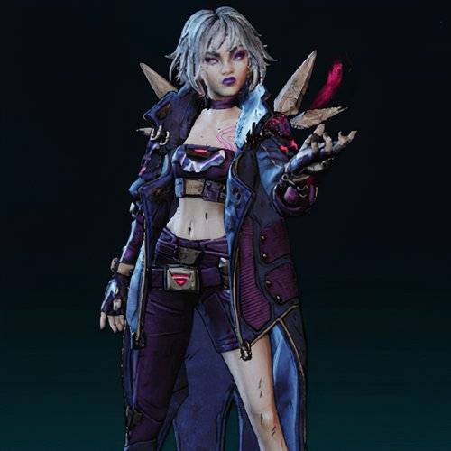 Borderlands 4 Vex style 40.