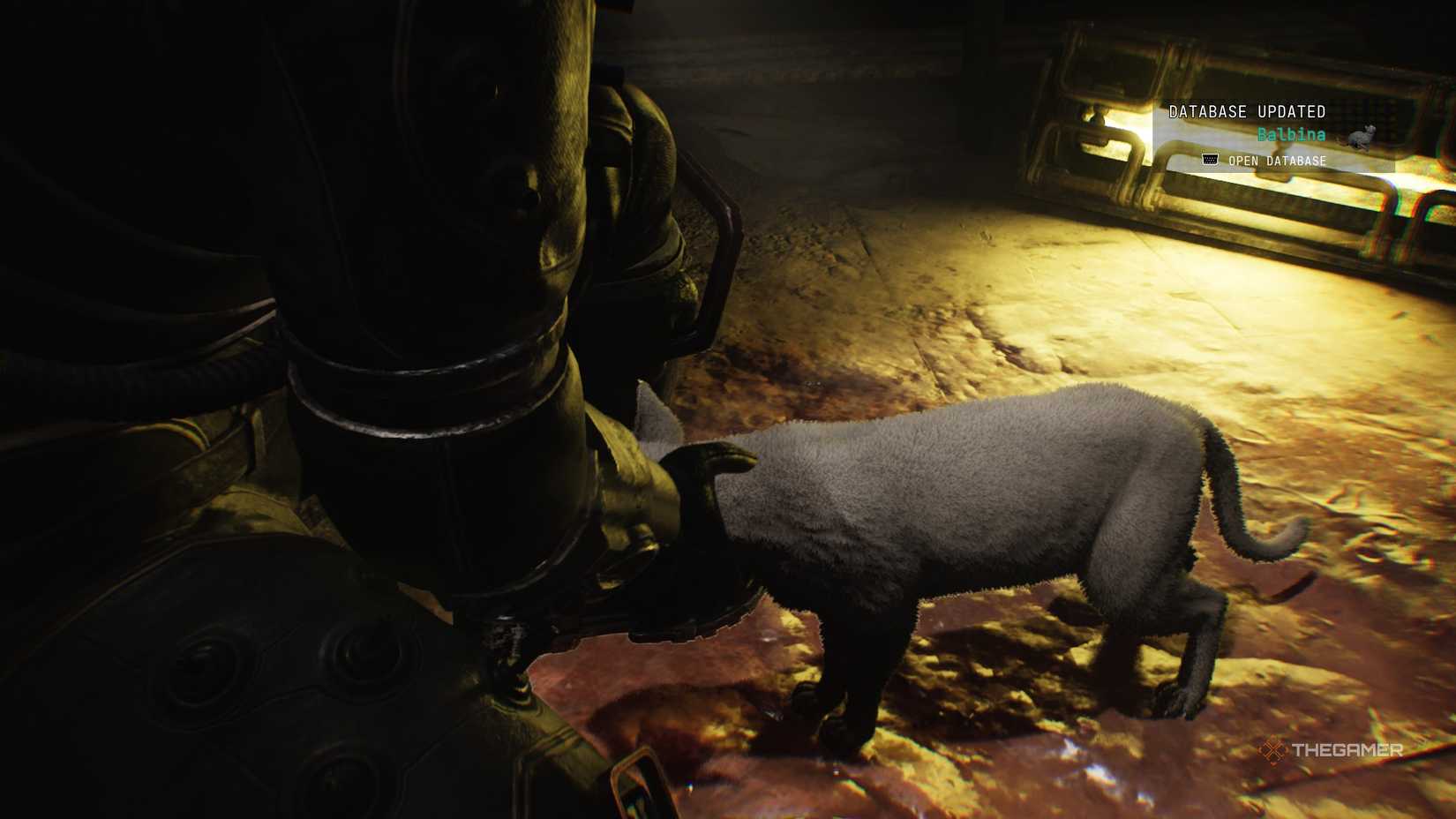 The Traveler petting a white cat in Cronos: The New Dawn.