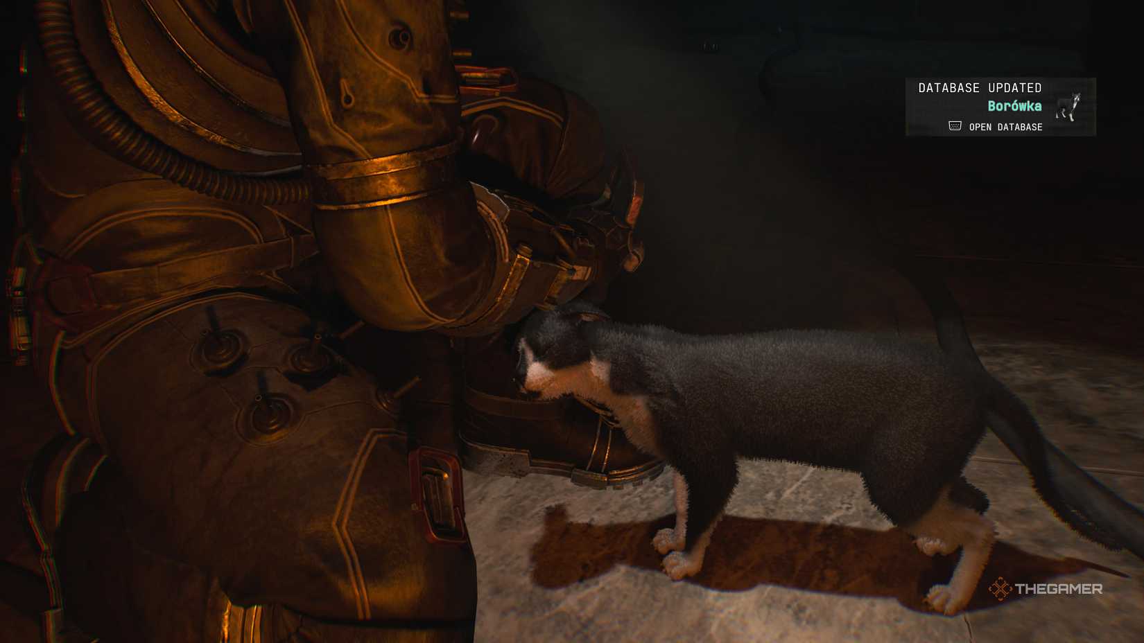 Petting a cat in Cronos: The New Dawn.