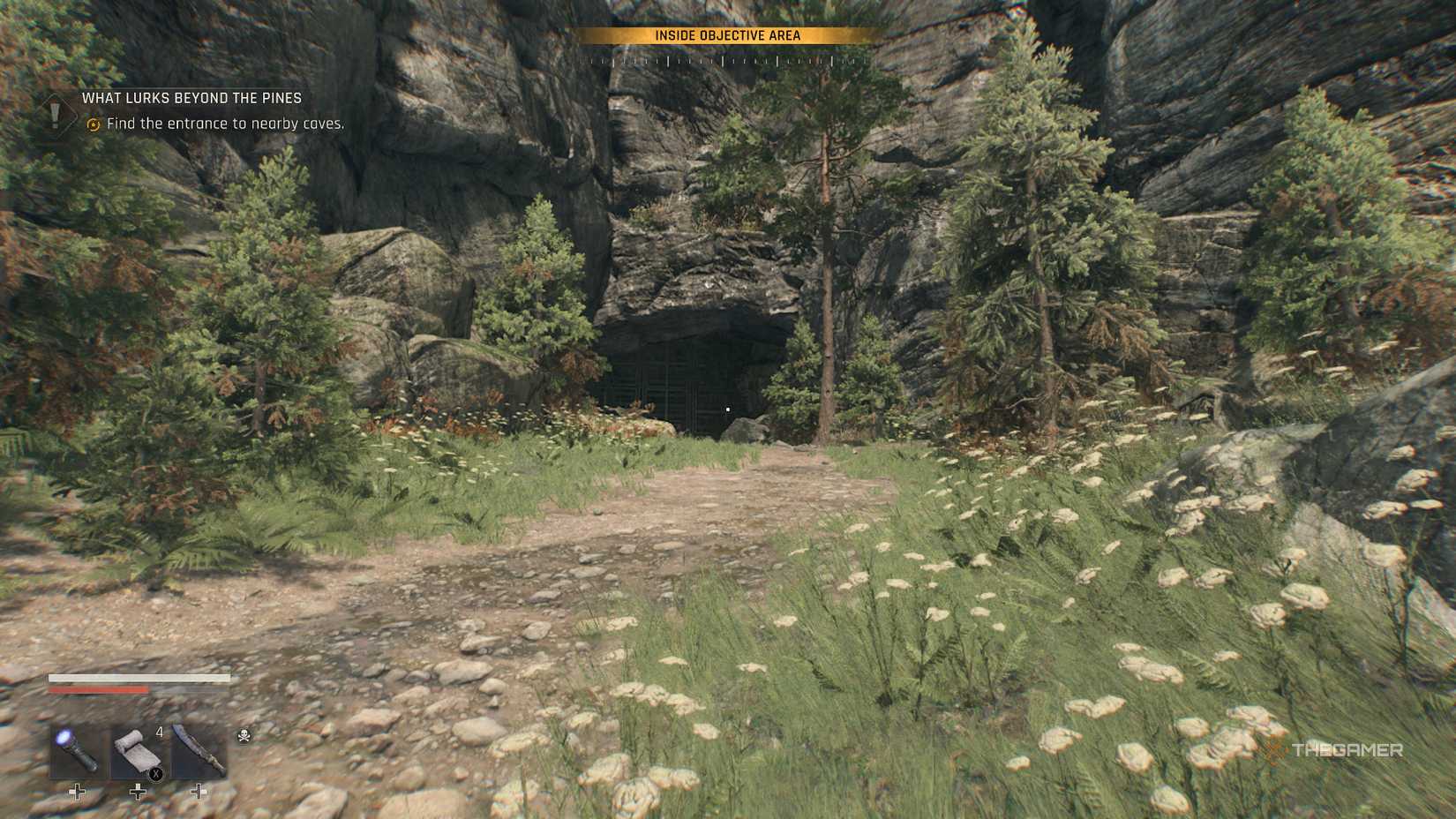 A path to the cave entrance.