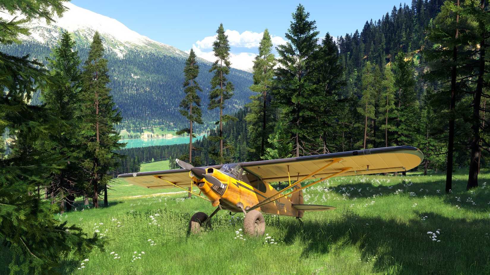 landed plane in microsoft flight simulator 2024.