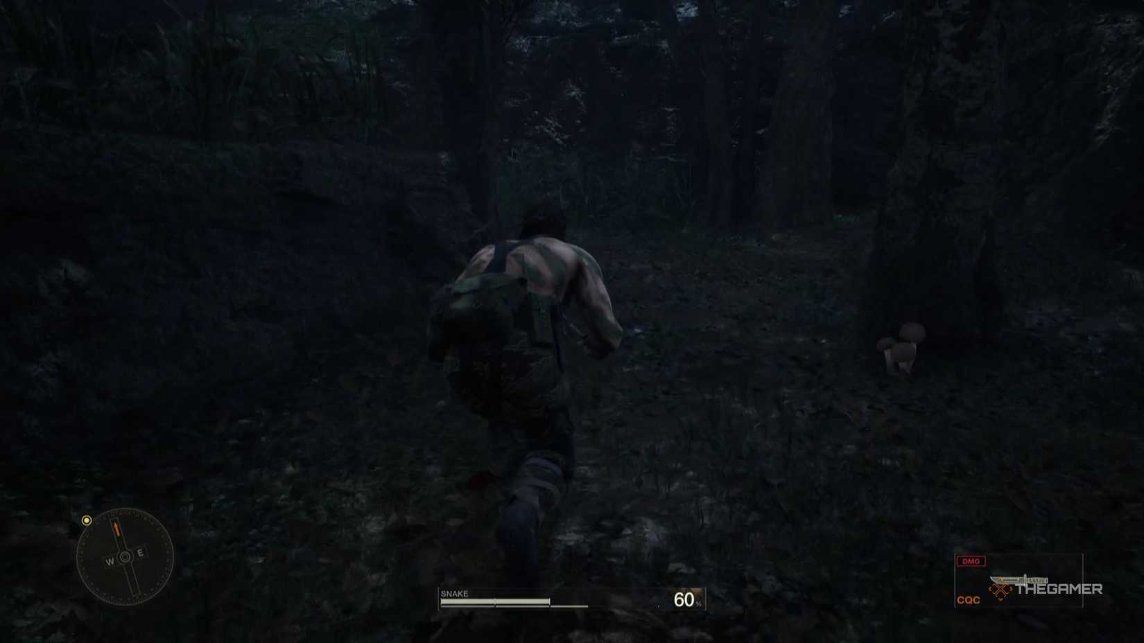 Mushrooms growing next to a tree in Metal Gear Solid Delta Snake Eater.