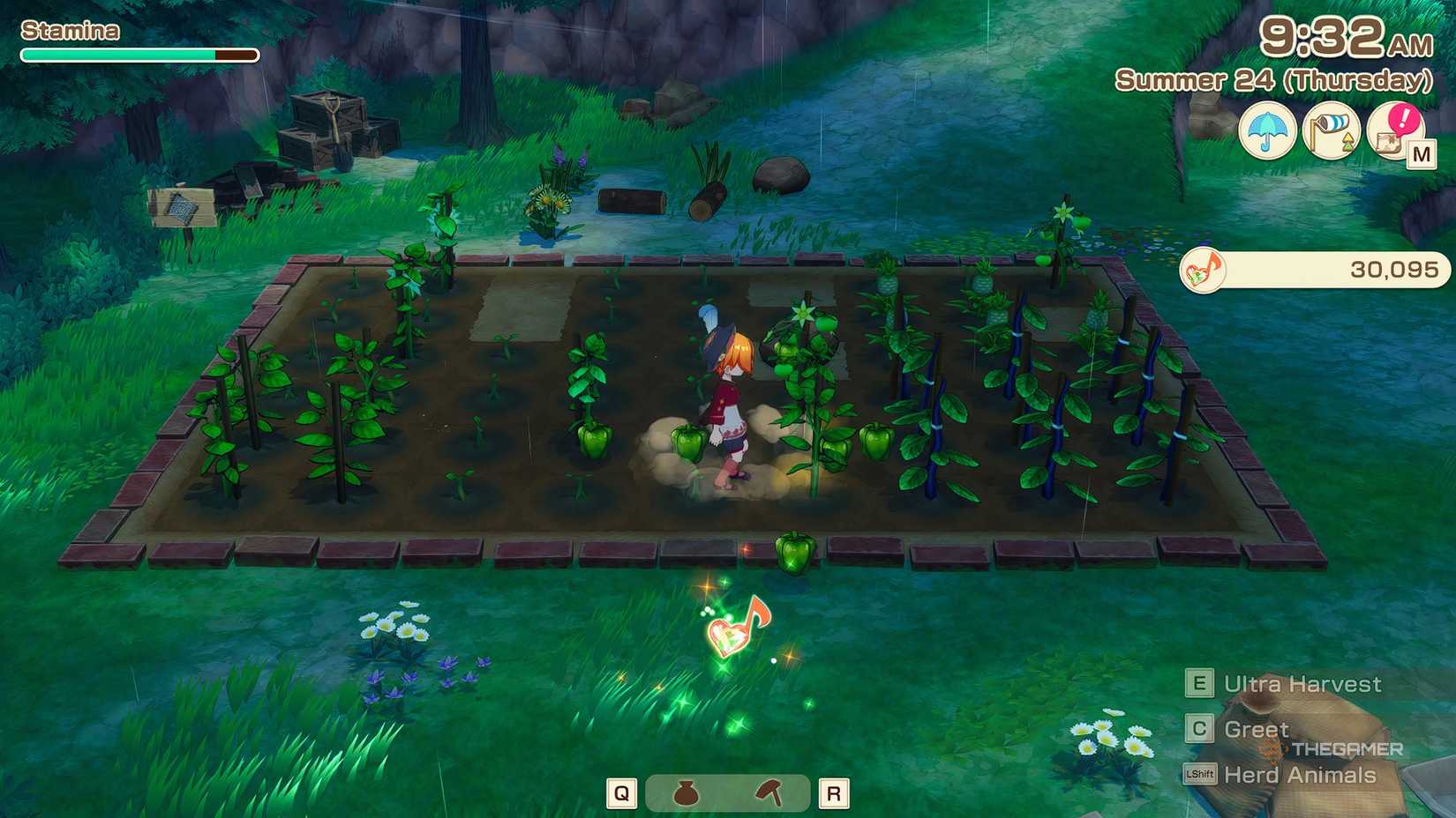 STORY OF SEASONS Grand Bazaar A farmer harvesting green bell peppers in the rain.