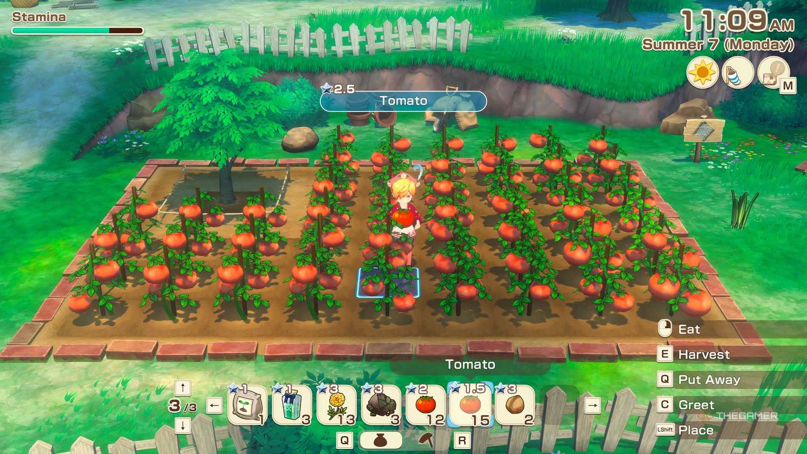 STORY OF SEASONS Grand Bazaar A farmer in a field of tomatoes.